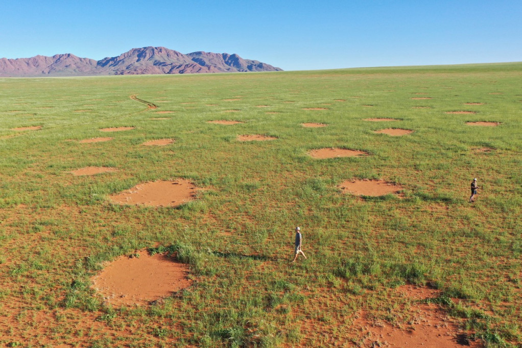 Otkrivena misterija "vilinskih krugova" u pustinjama: Naučnici nisu mogli ništa da odgonetnu, a samo je trebalo da pitaju starosedeoce