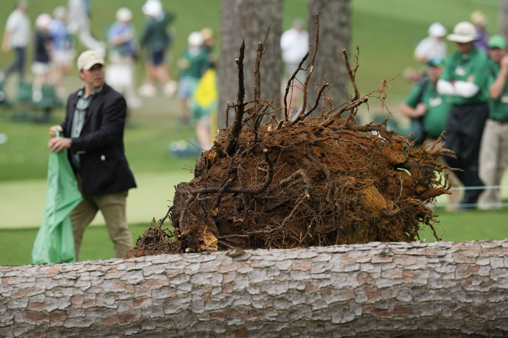 Ogromno drvo palo tokom masters turnira: Sve zabeleženo kamerom, gledaoci imali sreće! (FOTO/VIDEO)