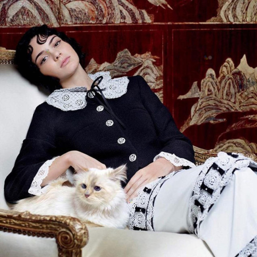 Spava na Šanelu, jede iz porcelana: Evo kako mačka Karla Lagerfelda, čuvena Šupet, uživa u svom višemilionskom nasledstvu