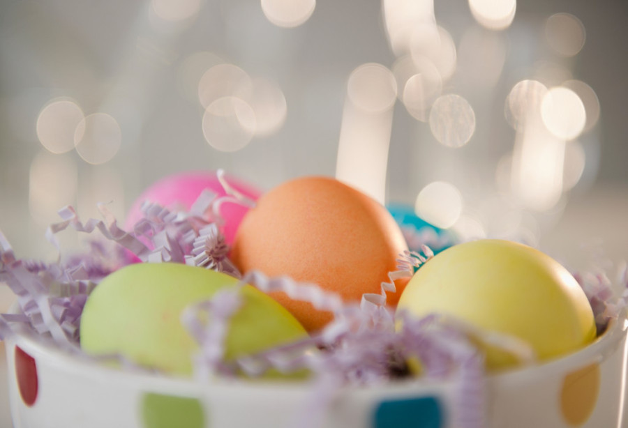 Zaštitite ljubimce tokom Uskrsa: Pet stvari na koje morate da obratite pažnju