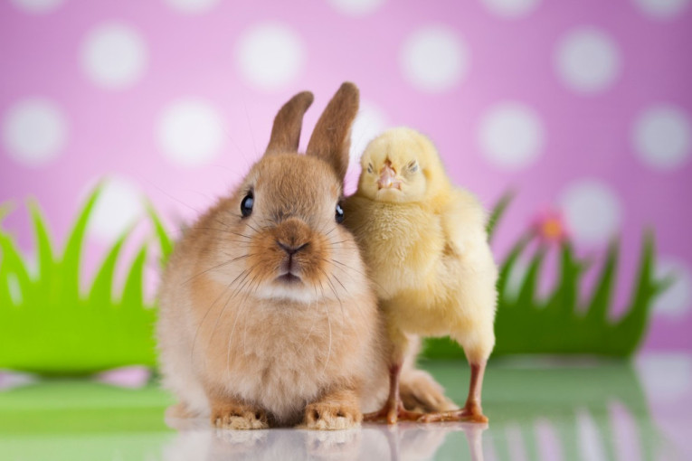 Iza najpoznatijih uskršnjih običaja kriju se priče stare hiljadama godina koje će vas iznenaditi