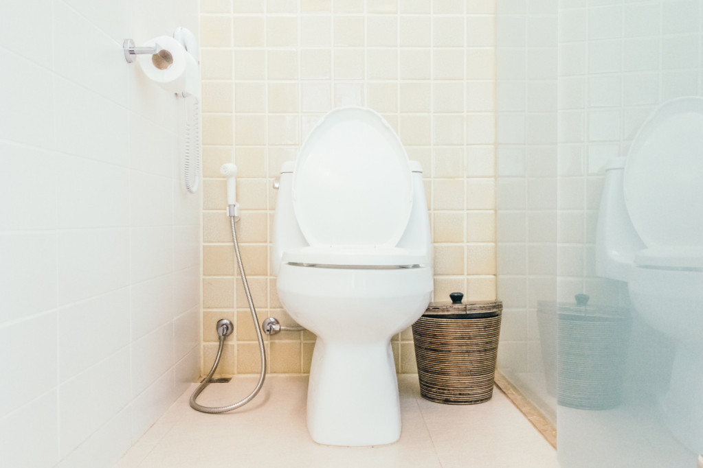 Jezivo: Par tvrdi da je šest meseci pio vodu iz WC-a, počeli naglo da se razbolevaju!