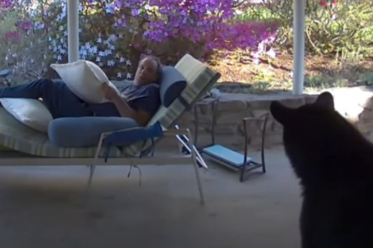 Muškarac se odmarao u svojoj bašti, pa mu se prikrao medved (VIDEO)