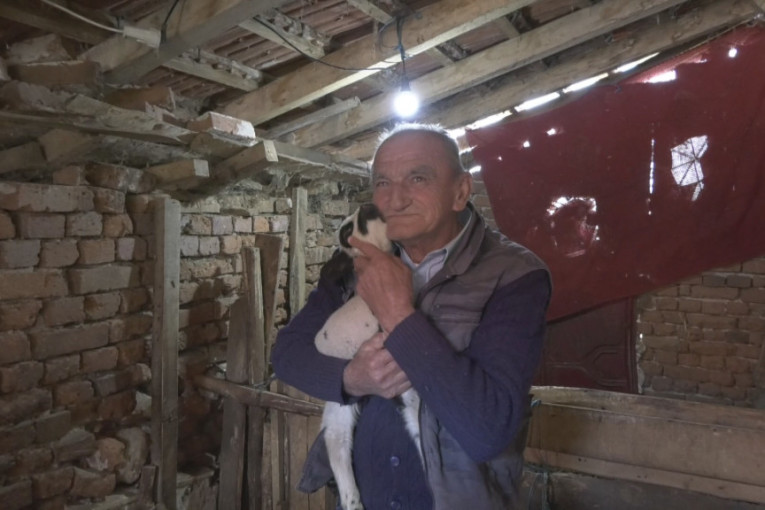 Belka na svet donela čak pet jagnjadi: Domaćin Milisav ostao u čudu, ovako nešto ne pamte ni najstariji meštani (FOTO)