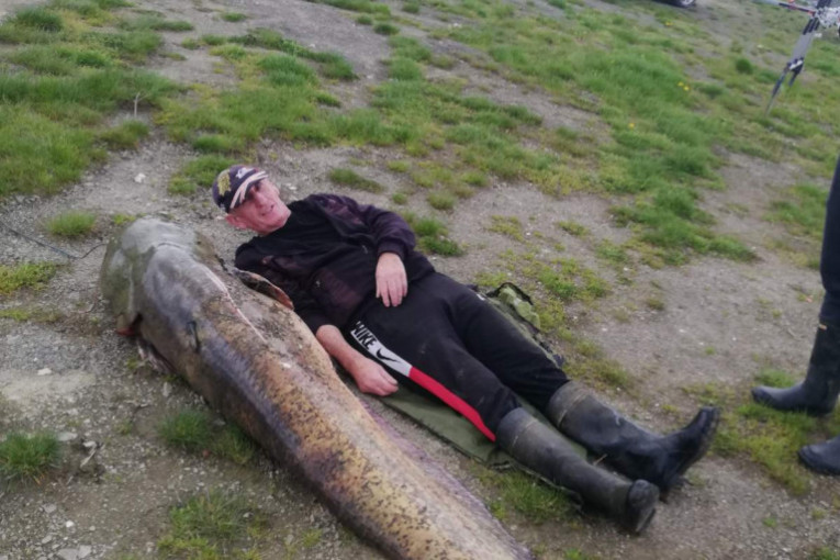 Ulovili grdosiju na Gružanskom jezeru! Sat vremena su se Ivan i Dragan borili sa somom od 90 kila! (FOTO)