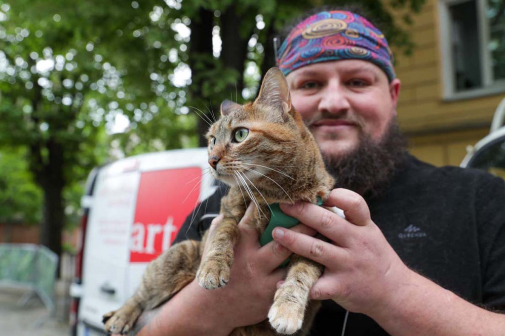 Neverovatna priča o jednoj mački i jednom Škotlanđaninu: Našao je napuštenu u Bosni, a onda su zajedno obišli svet (FOTO/VIDEO)