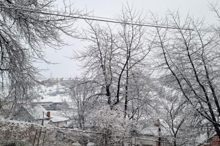 Aprilsko jutro u Srbiji pod snegom! Veje kao da je januar dok se ljudi pripremaju za prolećnu žetvu (FOTO)