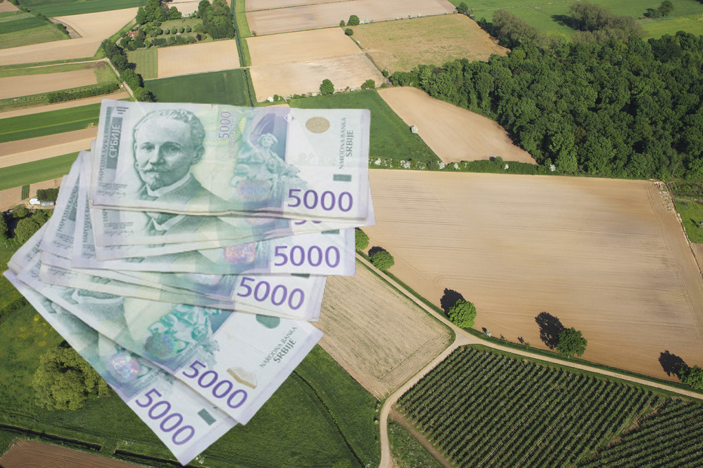 Prosečne cene poljoprivrednog zemljišta idu preko 14.000 evra po hektaru, a evo gde je ispod 500 evra