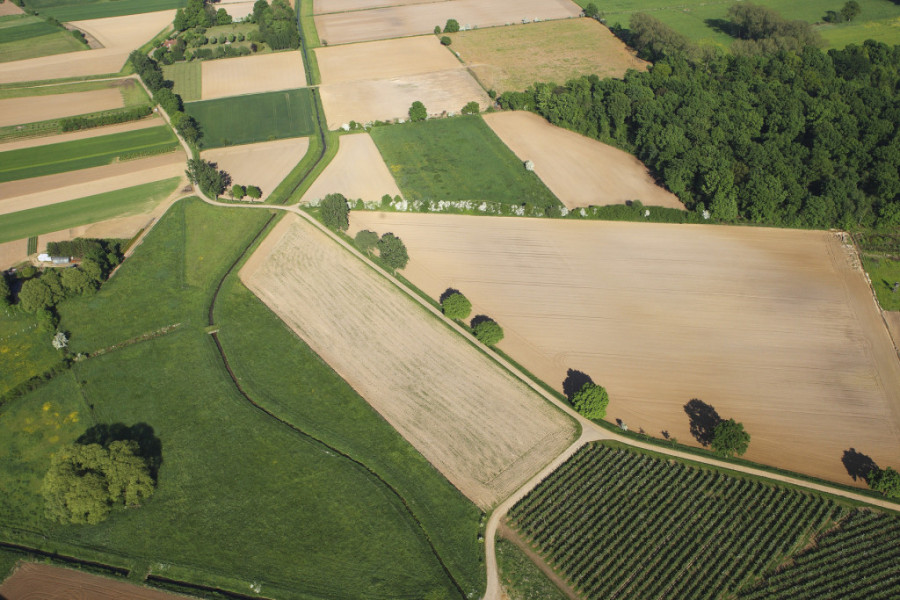 Subvencija od dva miliona dinara: Prijave do petka, evo ko može da konkuriše