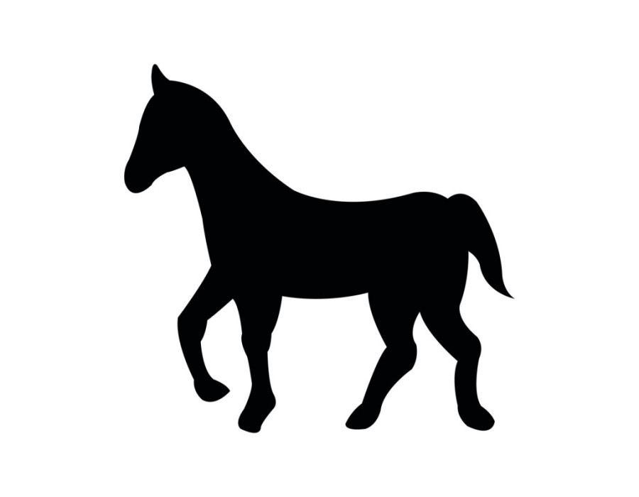 Životinja koju ste prvo videli na slici otkriva kako se ponašate prema drugim ljudima (TEST LIČNOSTI)