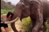 Devojka uzela bananu pa provocirala slona, a onda je on izgubio strpljenje! (UZNEMIRUJUĆI SNIMAK)