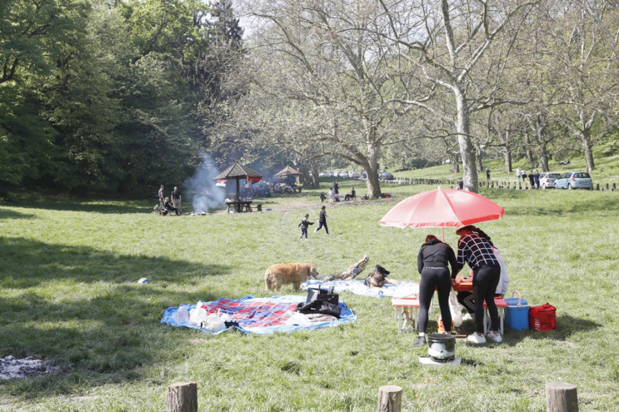 Hoćete da roštiljate za Prvi maj? Pazite se, kazne su velike ako to uradite tamo gde se ne sme!