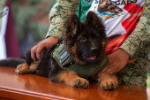Meksička vojska dobila poseban poklon od Turske: Preslatki pas otopio srca, a dobio simbolično ime (FOTO/VIDEO)