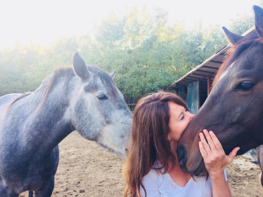 Dirljiv i potresan dokumentarac o ljudima koji brinu o umirućim konjima: „Na kraju puta“ najbolji na festivalu u Podgorici (FOTO)