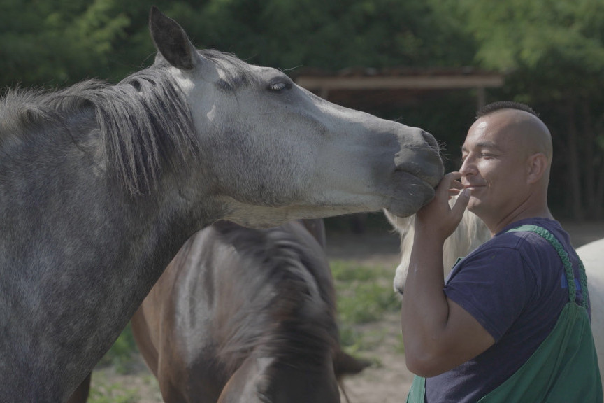 Dirljiv i potresan dokumentarac o ljudima koji brinu o umirućim konjima: „Na kraju puta“ najbolji na festivalu u Podgorici (FOTO)