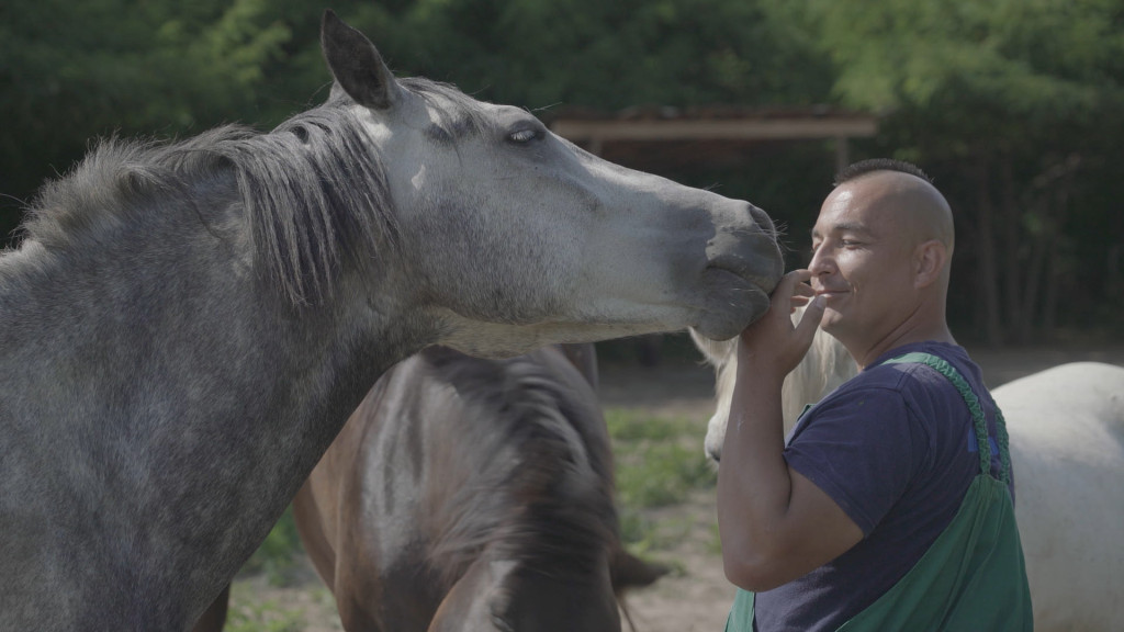 Kako je moguće da pobednički konj završi u kobasicama: Rediteljka Ivana Todorović za 24sedam o filmu sa puno suza i smeha