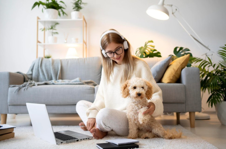 Koji papagaj je pravi izbor za vas? Ove četiri vrste su pogodne i za život u stanu, nisu haotični ni bučni