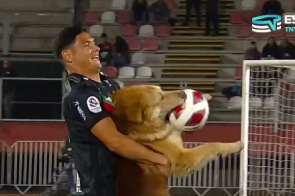 Komične scene u Južnoj Americi: Pas prekinuo utakmicu, nisu mogli da ga odvoje od lopte (VIDEO)