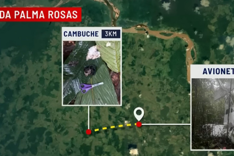 Čudo u Kolumbiji: Četvoro mališana pronađeno živo u džungli 17 dana posle pada aviona! Majka stradala u nesreći (VIDEO/FOTO)