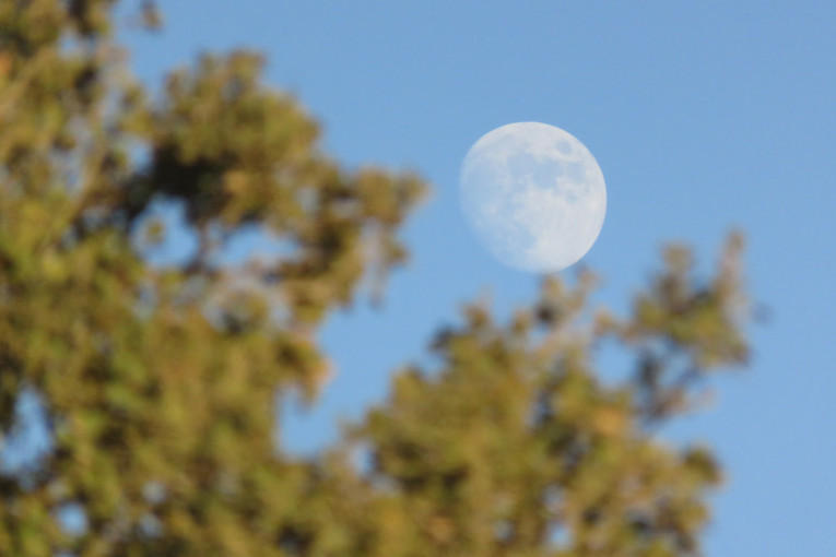 Znate li zašto Mesec ponekad možemo da vidimo tokom dana?