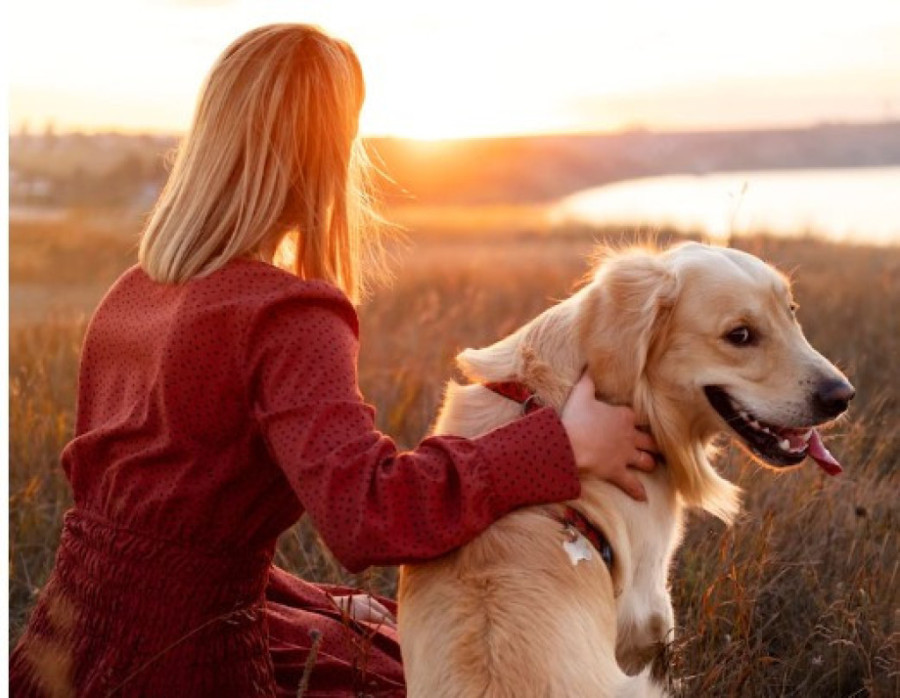 Čovek i zlatni retriver imaju više sličnosti nego što možete da zamislite: Nauka sada zna i zašto