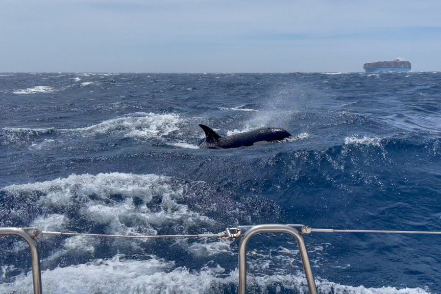 Orke ponovo u akciji: Napale brod kod Španije, posada zvala pomoć