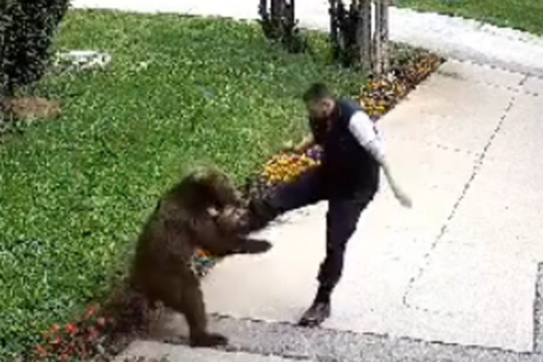 Medved ušetao u krug preduzeća u Bugojnu i napao radnika! Evo kako ga je čovek oterao (VIDEO)