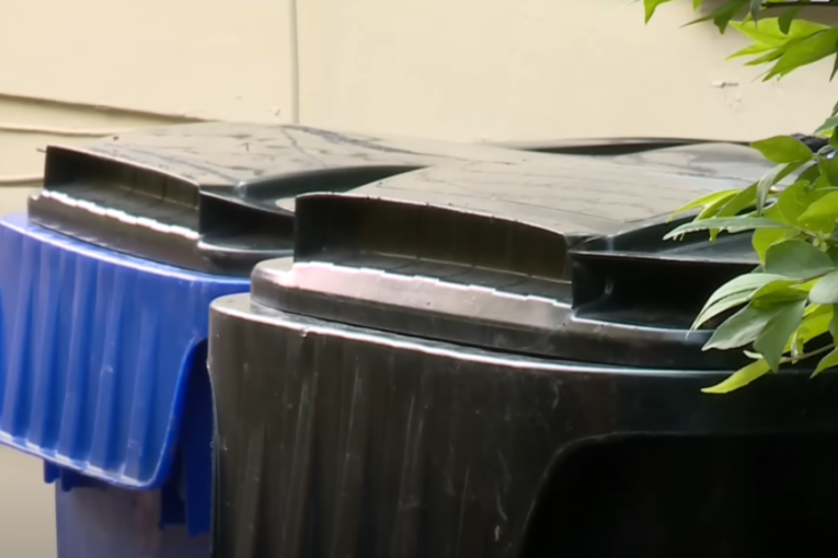 Dve mrtve bebe nađene u kanti za smeće! Uhapšena maloletna majka, rodila ih pre svega nekoliko dana (VIDEO)