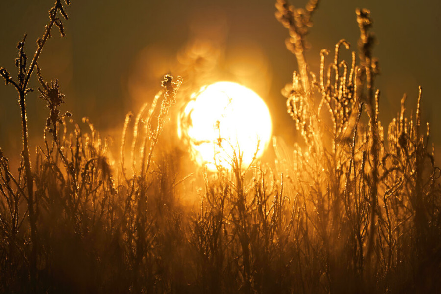 Budućnost planete nije nimalo svetla: Kako će Zemlja izgledati ako ne zaustavimo klimatske promene