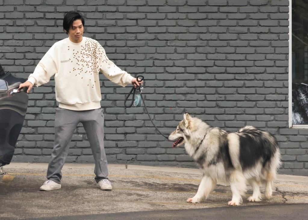 Sin Anđeline Džoli i Breda Pita doživeo saobraćajnu nesreću