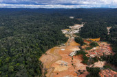 Narko-bande preuzimaju i Amazon: Kako je mafija počela da kontroliše najvažniju svetsku prašumu?
