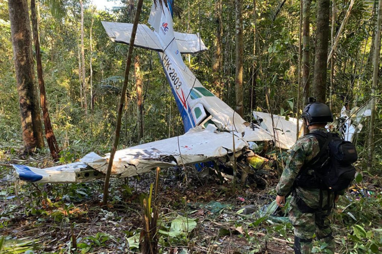 Kako je četvoro dece moglo da preživi pad aviona u amazonskoj prašumi?