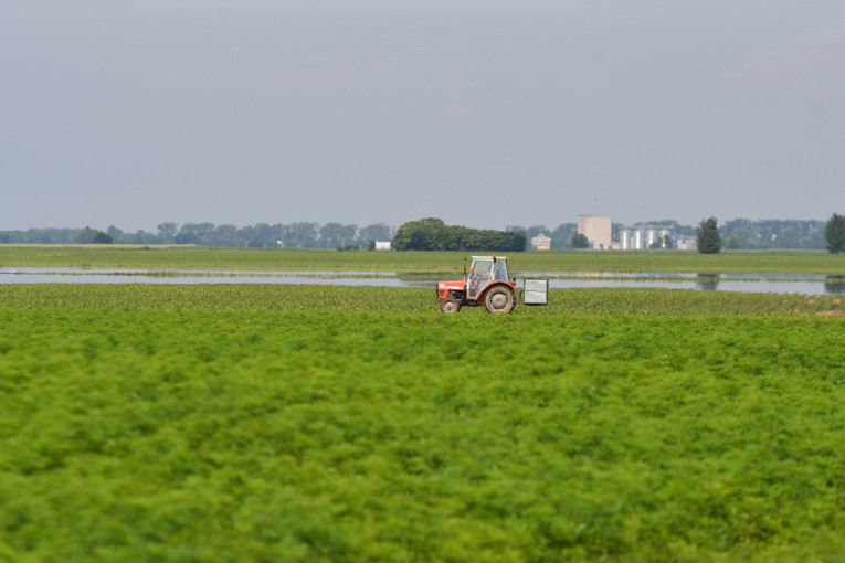 Poljoprivredno zemljište postalo suvo zlato: Jedan deo Vojvodine na vrhu liste po cenama