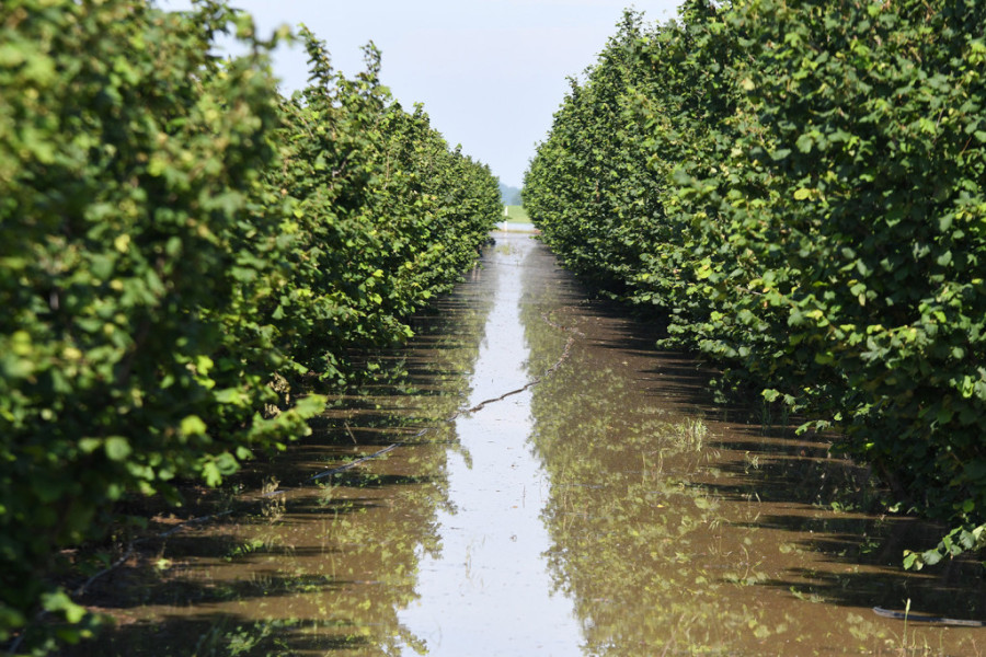 Vanredna situacija u još četiri opštine: Vatrogasci i građani crpe vodu iz domaćinstava
