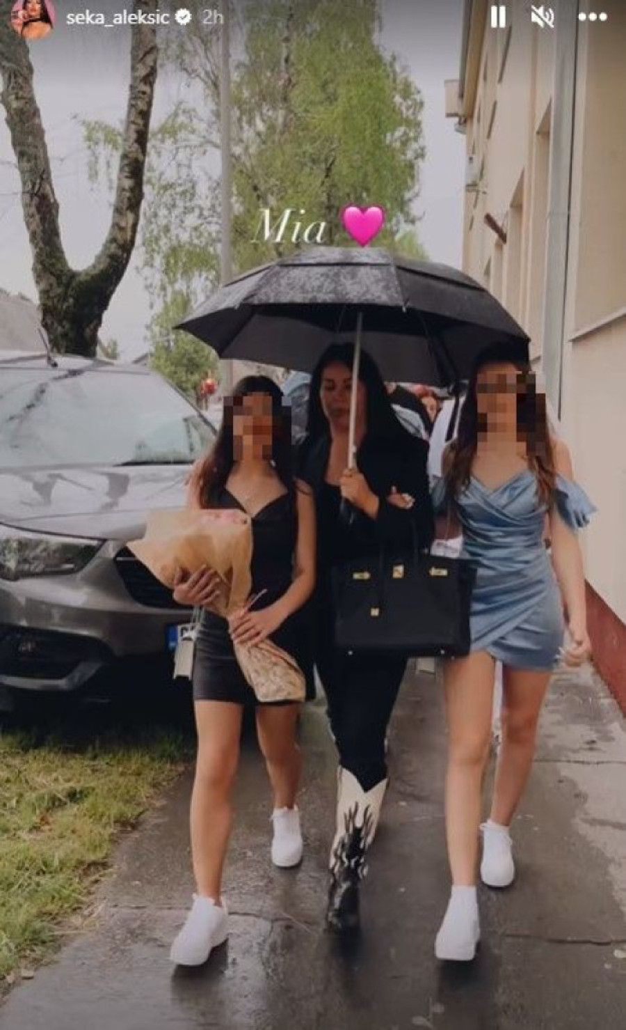 Seka Aleksić ima plan za 2024. godinu: Postaću zgodna mačka! (FOTO/VIDEO)