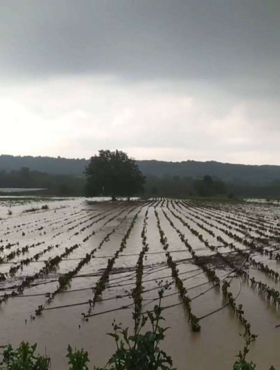 Čeka nas još jedan potop, a onda dolazi leto! Prekosutra stiže ciklon, a onda će četiri dana biti provala oblaka