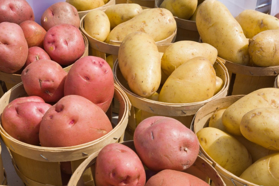 Kako da čuvate krompir da ne proklija? Jednostavan trik koji čini da bude svež i ukusan tokom cele godine