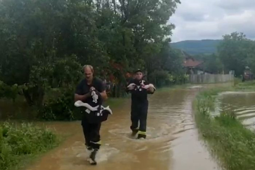 Evakuisane bebe blizanci u Kučevu: Vatrogasci gazili vodu dok su njih nosili u nosiljkama (VIDEO)