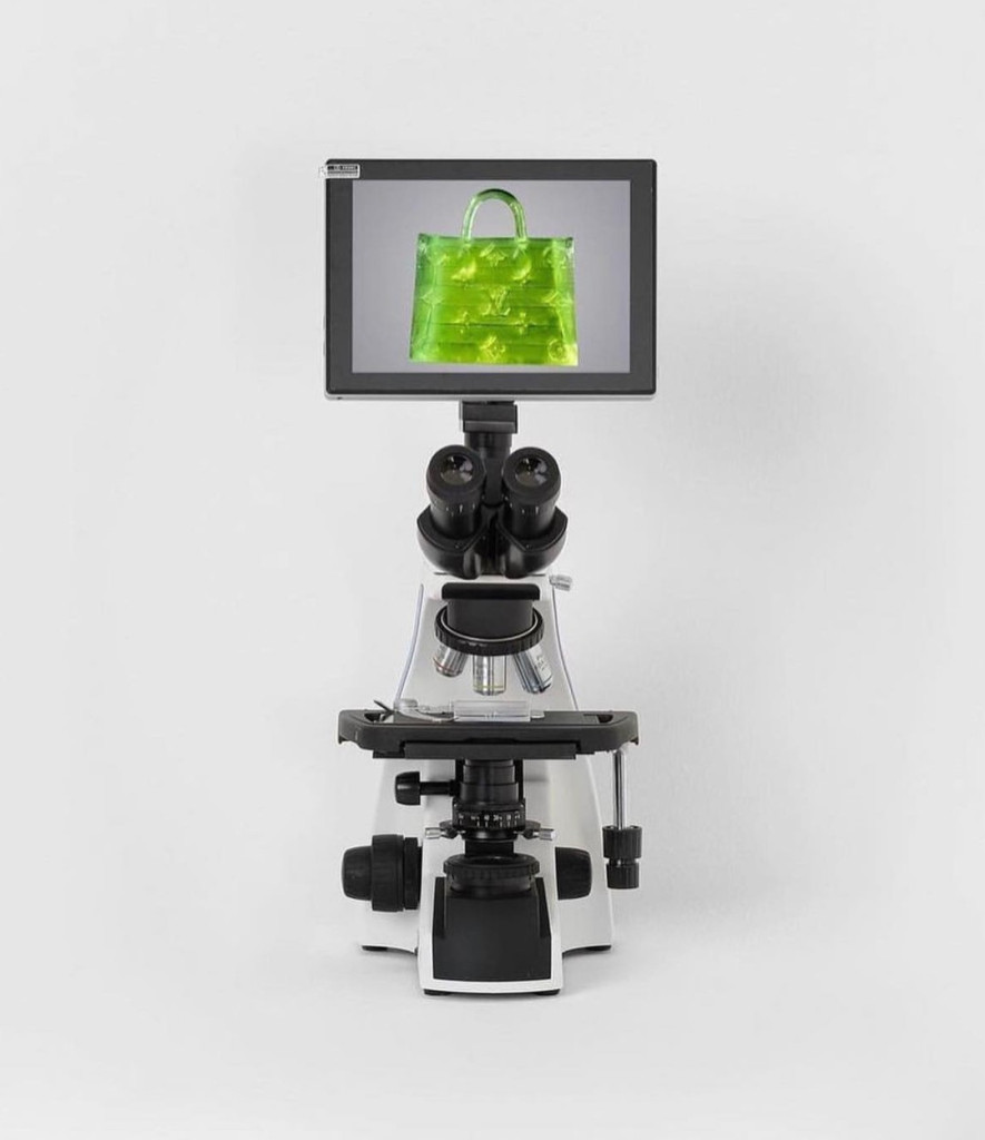 Torbica veličine zrna soli! Da, dobro vidite, ovo je i zvanično najmanja na svetu (VIDEO/FOTO)