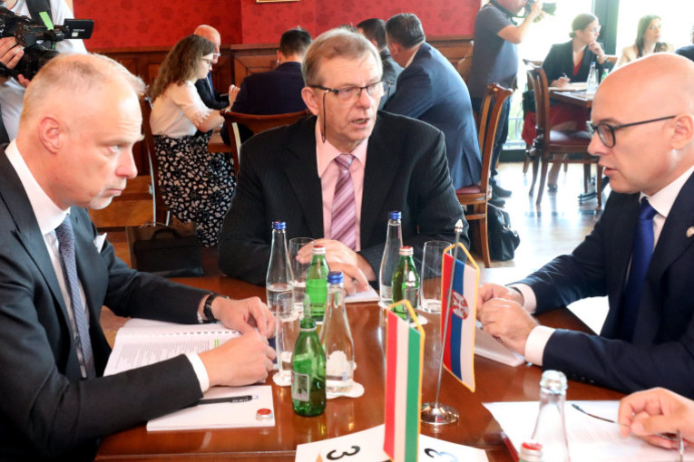 Vučević sa mađarskim kolegom o jačanju saradnje: "Međusobna podrška od značaja za stabilnost u regionu!"