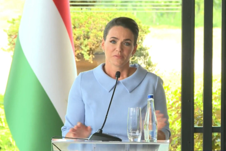 Vučić: Ovo je istorijski korak za Mađarsku i Srbiju! Potpisani sporazumi posle sednice Strateškog saveta