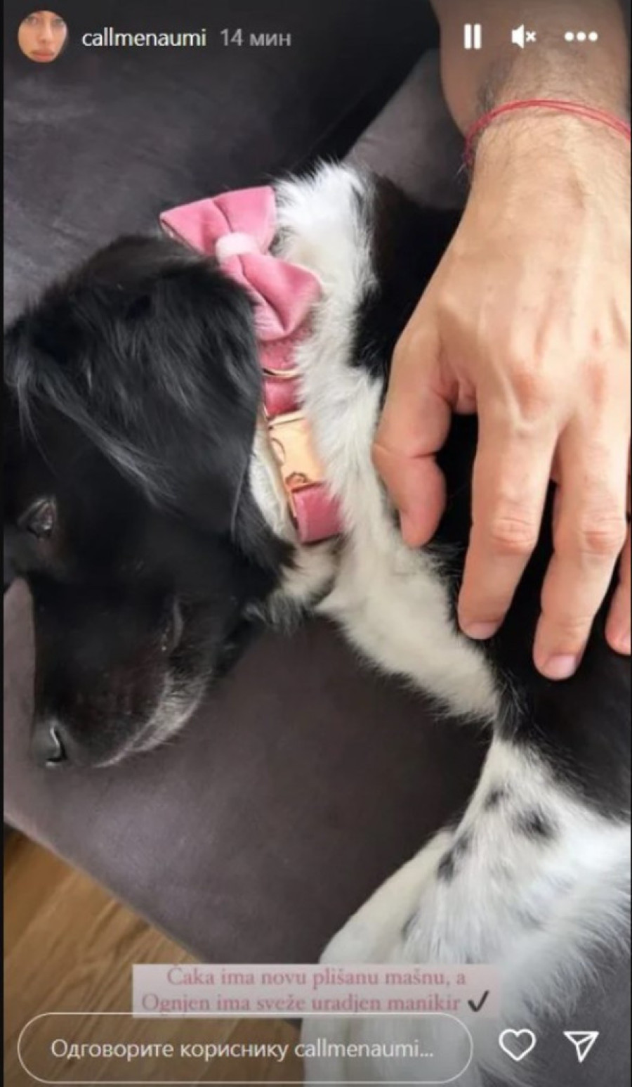 Ne prestaju da se šale na račun jedno drugog: Mina ponovo prozvala Ognjena, svi se smeju onome što je uradila