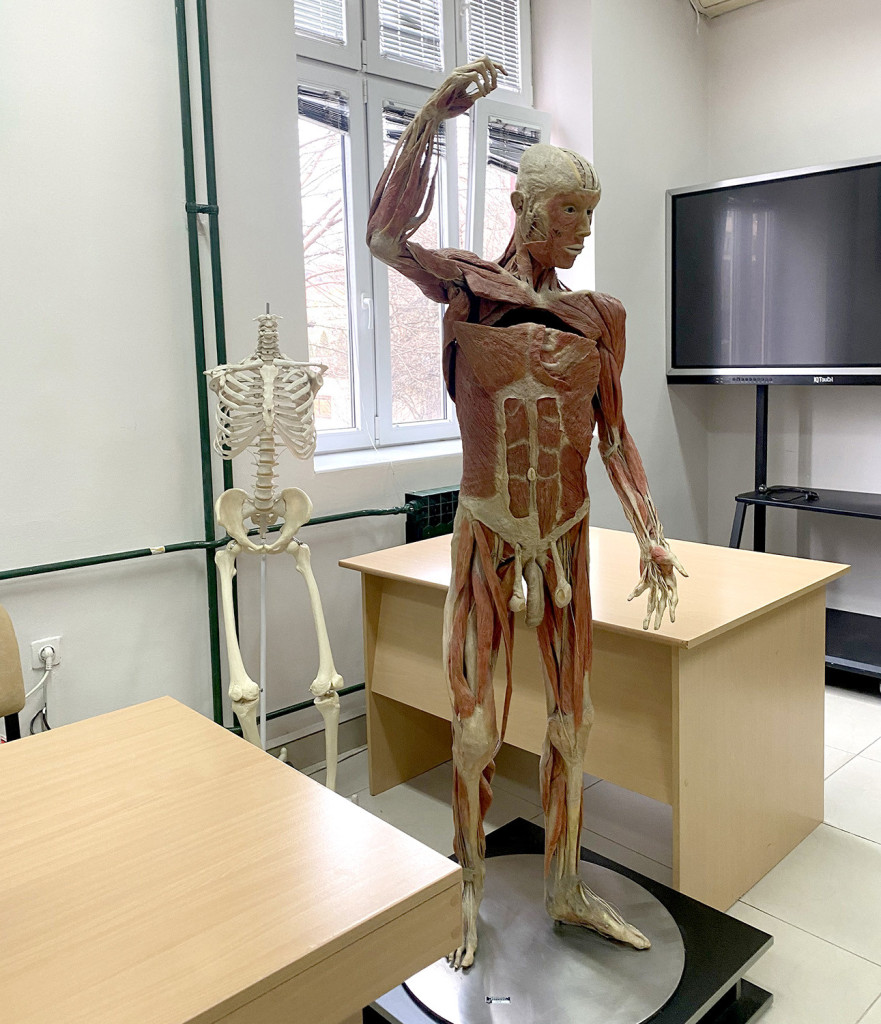 Hit oglas : Upiši naš fakultet, čeka te živi leš! Svi studenti "upoznaju" pravog mrtvaca koji maše kad dođu na prvo predavanje! (FOTO 18+)