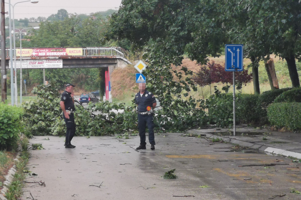Jako nevreme urnisalo Vojvodinu: Nekoliko stabala je oboreno, tri naseljena mesta nisu imala struju!