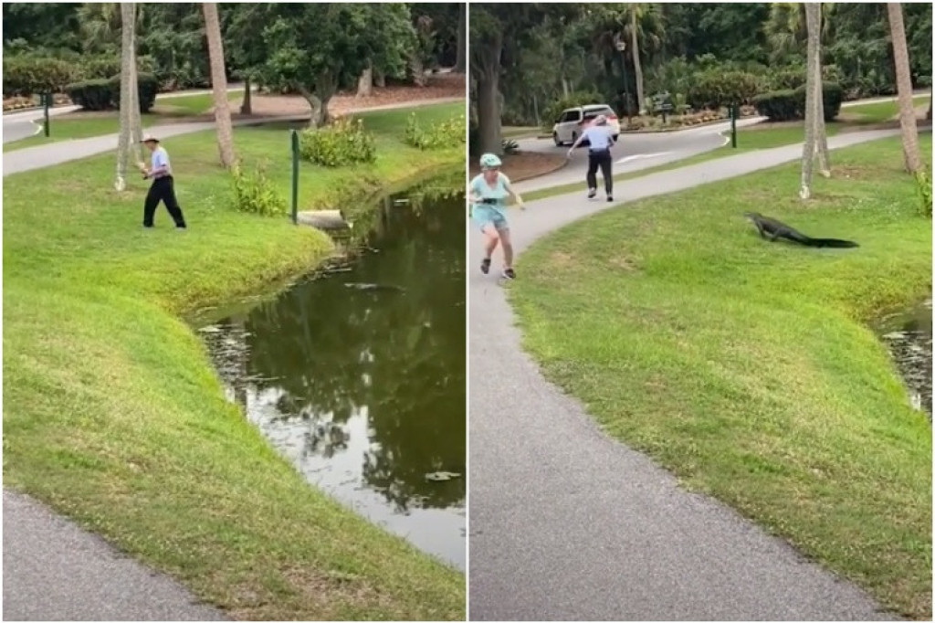 Čovek mirno pecao, a onda je aligator pojurio ka njemu (VIDEO)