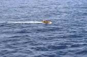 Žena pala u okean sa ogromnog kruzera: Usledilo je dramatično spasavanje, a onda i srećan kraj (VIDEO)