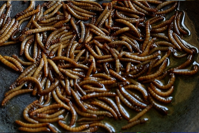 Kraljica Kamila nasrnula cipelom na napadača! Primenila savet majke iz detinjstva