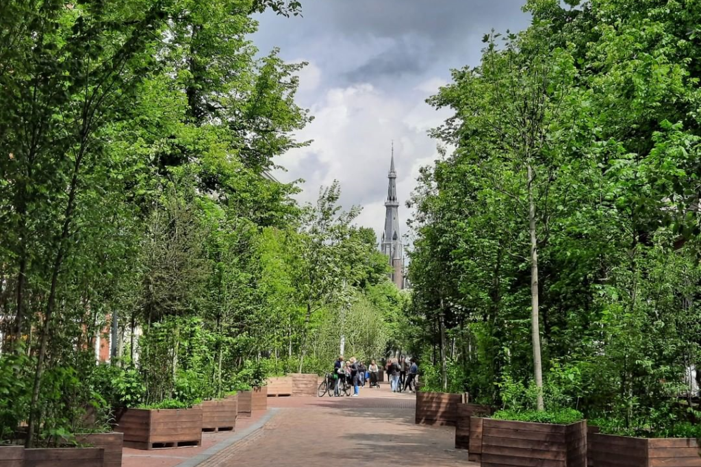 Novi Sad dobija "šetajuću" šumu: Čak 143 sadnice "ići će u šetnju" po gradu, a evo i zašto