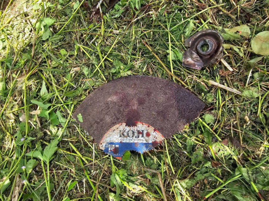 Užas na Tajlandu: Baštovan trimerom odsekao "muškost" pa iskrvario do smrti