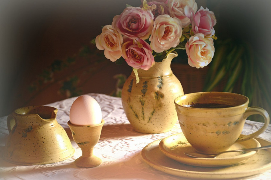 Stavite soc od kafe u saksiju sa cvećem i posmatrajte neverovatnu transformaciju biljaka!